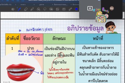 tutorbento.com รีวิว