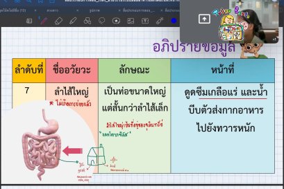 tutorbento.com รีวิว