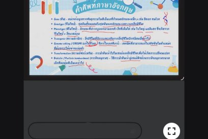 tutorbento.com รีวิว
