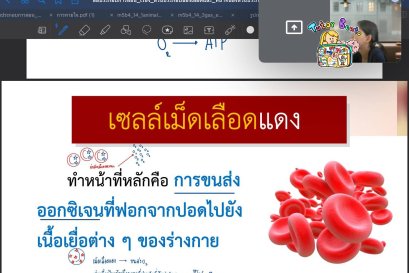 tutorbento.com รีวิว