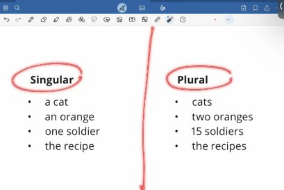 tutorbento.com รีวิว