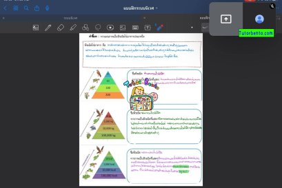 tutorbento.com รีวิว