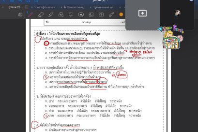 tutorbento.com รีวิว