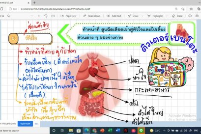 เรียนพิเศษออนไลน์