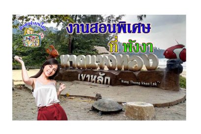 งานสอนพิเศษ พังงา