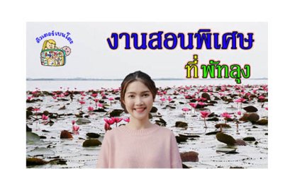 งานสอนพิเศษ พัทลุง