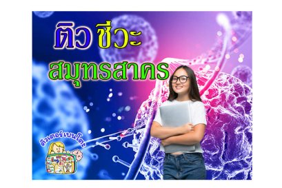 ติว ชีวะ สมุทรสาคร