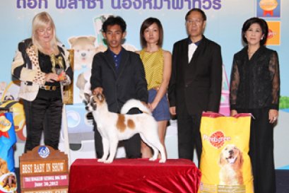 Thailand International Dog Show 2012