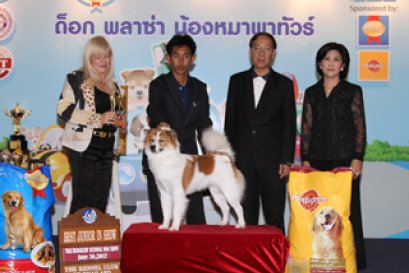 บางแก้วในวันนี้(ต่อ)