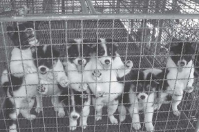 ฤดูกาล...บางแก้ว