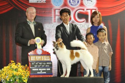 FBCT Championship Show 3/2012