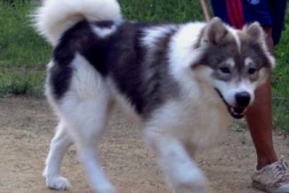 MUMNUNG THE BITTLE STYE (ต่อพู)