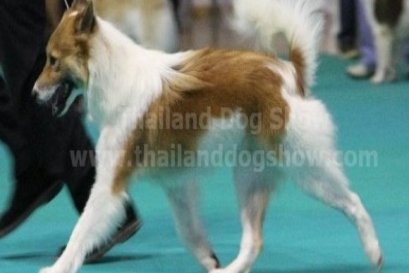 MUMNUNG'S NHUNTONG (หนุนทอง)