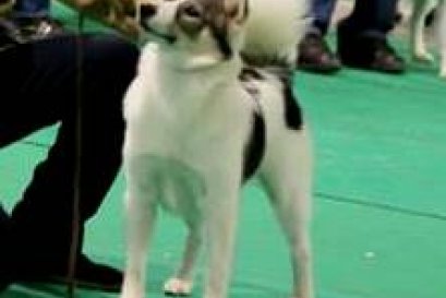 MUMNUNG'S PORTO (พอร์โต้)