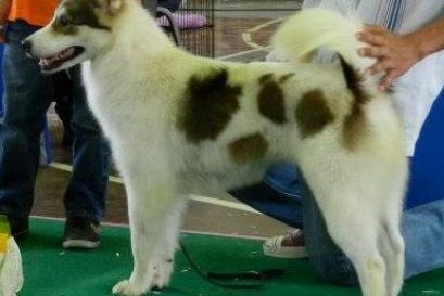 MUMNUNG'S LUMTHAI (รำไทย)