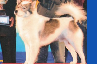 ถ้วยรางวัลพระราชทาน ปี2548