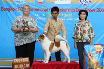 Bangkok FCI International Championship Dog Show 2012
