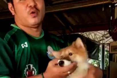 ติดตามคลิป สาระหมาบางแก้ว