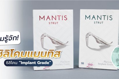 ซิลิโคนแมนทิส