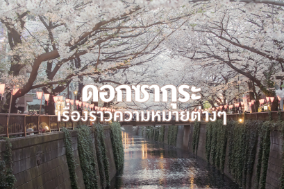 ดอกซากุระ เรื่องราวความหมายต่างๆ