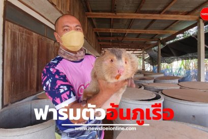 หนุ่ม ทต.ภูเรือ เลี้ยงตัวอ้นขายสร้างรายได้เสริมเดือนละ 2-3 หมื่นบาท (คลิป)