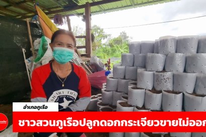 ชาวสวน อ.ภูเรือ โอดครวญดอกกระเจียวขายไม่ออกหวังขอทุนคืน (คลิป) 