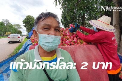 โควิดระบาดชาวสวนแก้วมังกรภูเรือระทมขายหน้าสวน 2 บาท 