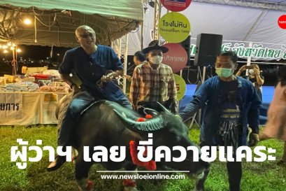 ผู้ว่าฯ เลย ขี่ควายแคระก่อนเกษียณงานเกษตรแฟร์ (คลิป)