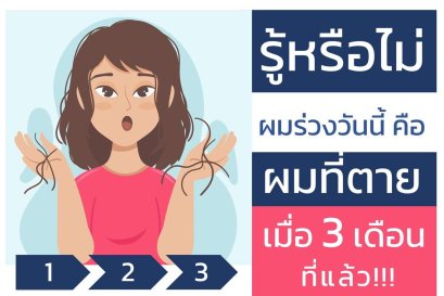 รู้หรือไม่ ผมที่ร่วงวันนี้ คือ ผมที่ตายเมื่อ 3 เดือนที่แล้ว