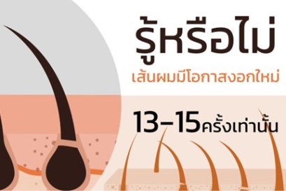 รู้หรือไม่ เส้นผมของคนเรามีโอกาสงอกเพียง 13-15 ครั้งเท่านั้น