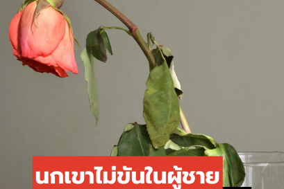 อวัยวะเพศชายไม่แข็งตัว (Erectile Dysfunction  ED) หรือ นกเขาไม่ขัน คืออะไร?