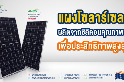 Solar cell ชนิดโมโนคริสตัลไลน์ และชนิดโพลีคริสตัลไลน์ 