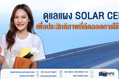 การดูแลแผง Solar Cell เบื้องต้นหลังการติดตั้ง 