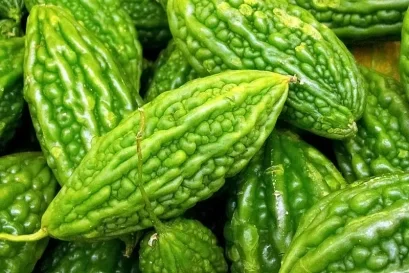 มะระขี้นกสมุนไพรพื้นบ้านที่มีสรรพคุณที่ดีมากมาย