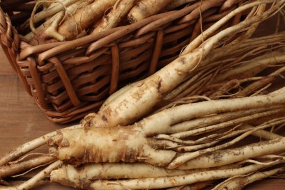 รูปภาพบทความ รากกิกเก้