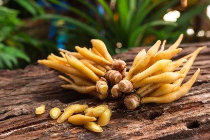 รูปภาพบทความ pinotin