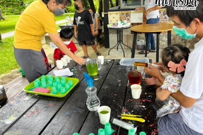 Play and Learn การปลูกผักไฮโดรโปนิกส์ระบบน้ำนิ่ง