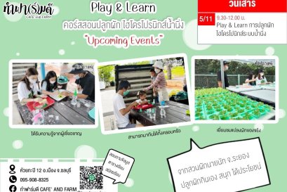 Play and Learn การปลูกผักไฮโดรโปนิกส์ระบบน้ำนิ่ง 05/11/65