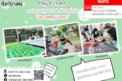Play and Learn การปลูกผักไฮโดรโปนิกส์ระบบน้ำนิ่งครั้งที่ 3