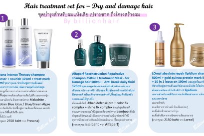 แนะนำชุดสำหรับผมแห้งเสียหาย ไปดุกันจ้า