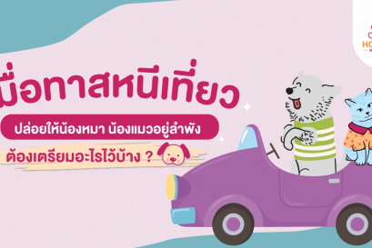 ็Hospetal_Pet Hotel_รับฝากสัตว์เลี้ยง