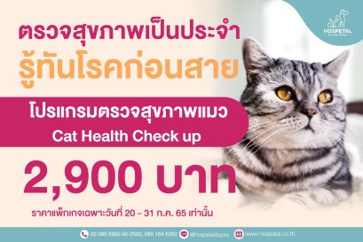 โปรแกรมตรวจสุขภาพ_Cat Health Checkup