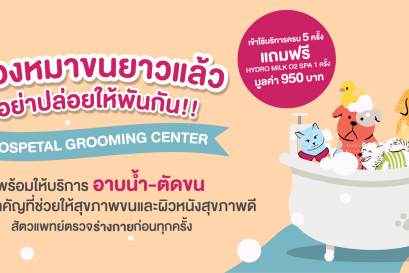 ใช้บริการอาบน้ำตัดขน ครบ 5 ครั้ง แถมฟรี  Hydro Milk O2 Spa 1 ครั้ง