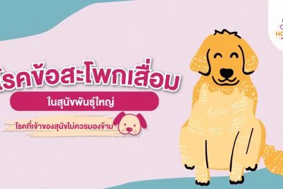 โรคข้อสะโพกเสื่อมในสุนัข