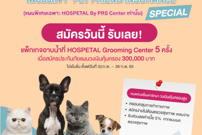 ประกันภัยสัตว์เลี้ยง เพื่อนซี้สี่ขา "Pet Friend Insurance Special" 