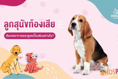 ดูแลอาการเบื้องต้น ลูกสุนัขท้องเสีย