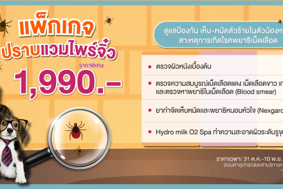 HOSPETAL By PRS Center แพ็กเกจปราบแวมไพร์จิ๋ว 1,990 บาท 