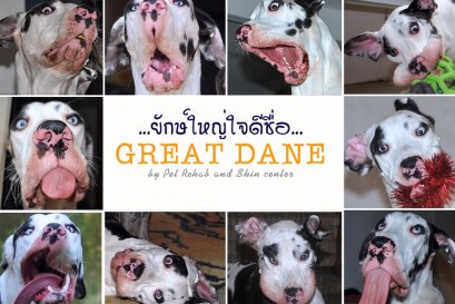 ยักษ์ใหญ่ใจดีชื่อ..เกรทเดน