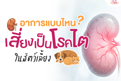 อาการที่ทำให้สัตว์เลี้ยงเสี่ยงโรคไต 1