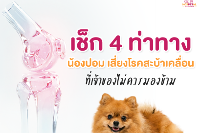 เช็คท่าทางน้องปอมว่าเป็นโรคสะบ้าเคลื่อน 2